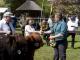 thumbnail 517 --9686.jpg